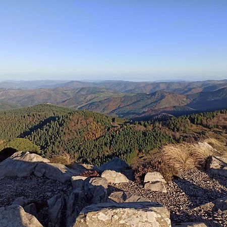 Gite Le Rocher Du Chateau De Retourtour Lamastre Buitenkant foto