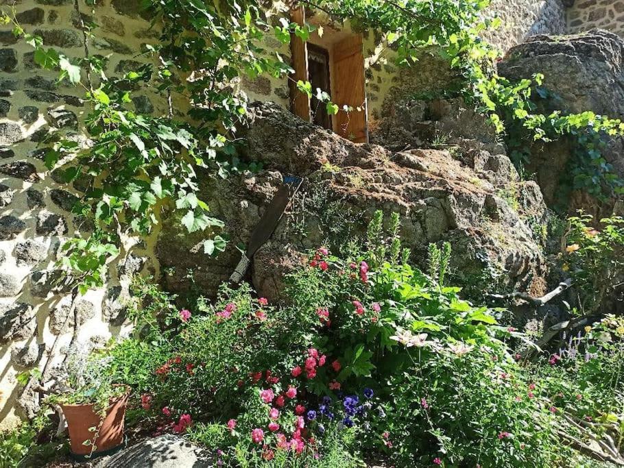Gite Le Rocher Du Chateau De Retourtour Lamastre Buitenkant foto